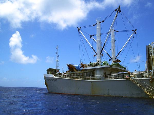 MS Caroline Voyager