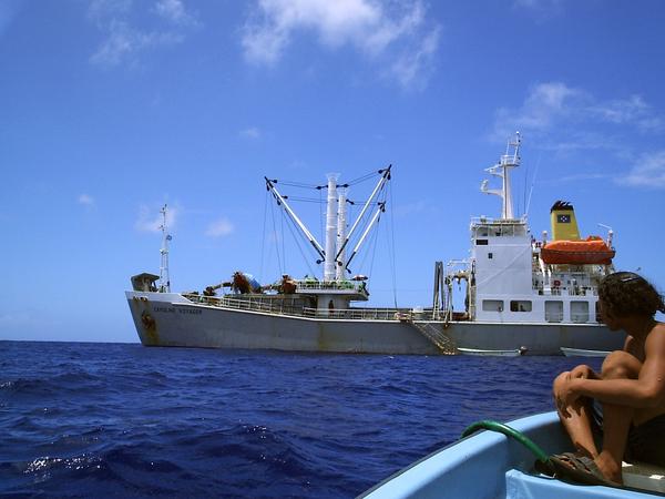 MS Caroline Voyager